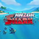 Razor Shark