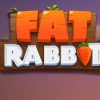 Fat Rabbit