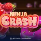 Ninja Crash