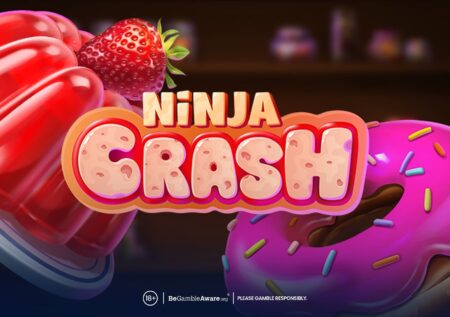 Ninja Crash